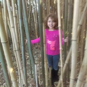 Meet your Posher, Abby